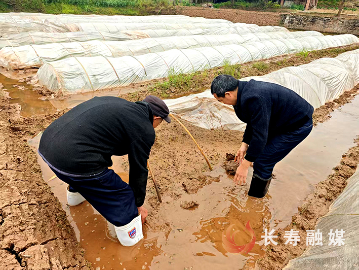 葛兰镇护航春耕促生产 (5)