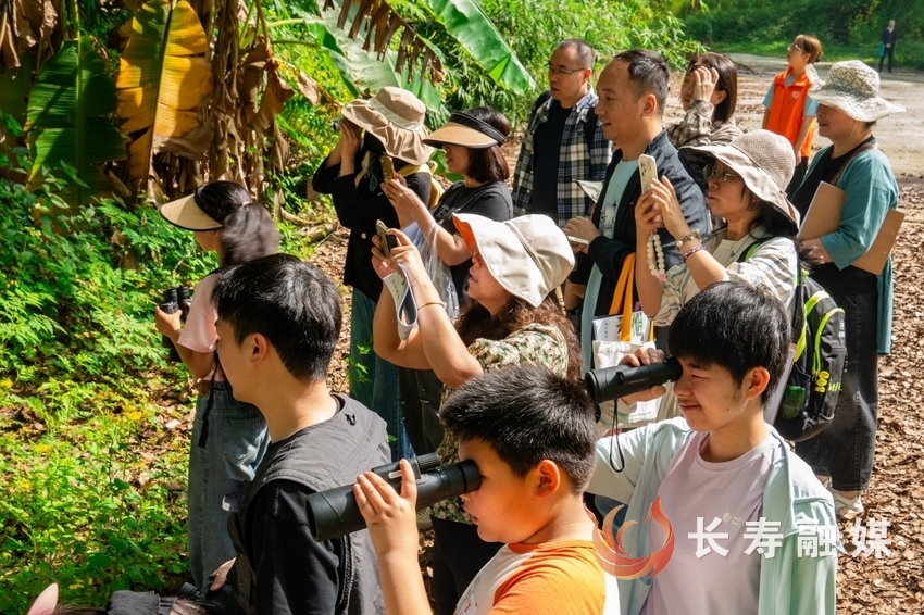 愛鳥科普進回龍寨2