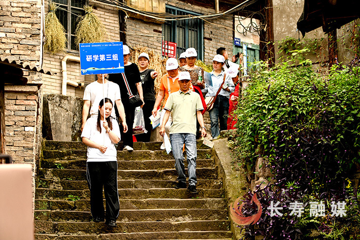 凤城街道开展三倒拐文化游学活动+张颂东 (3)
