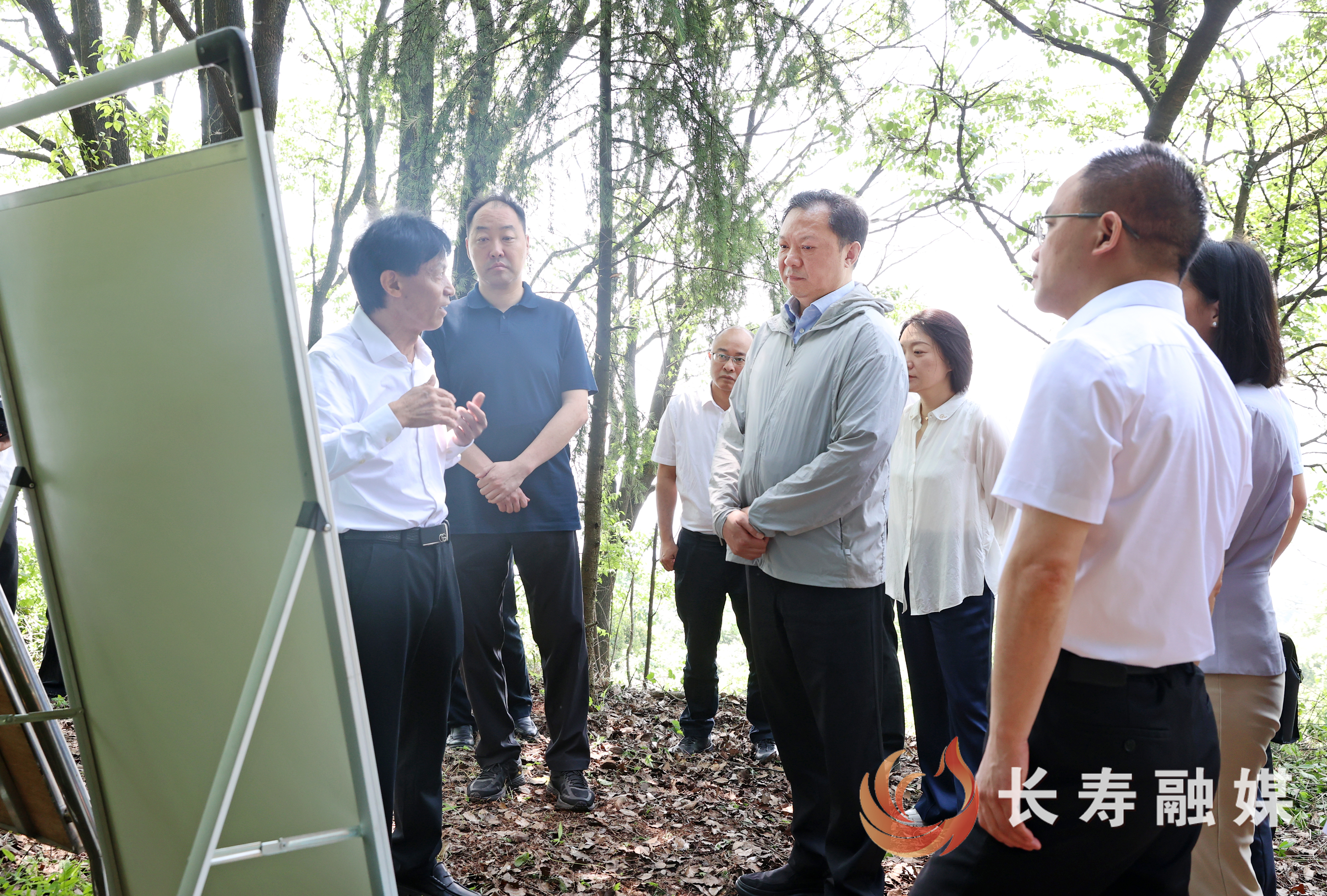 江夏调研文旅产业发展工作1