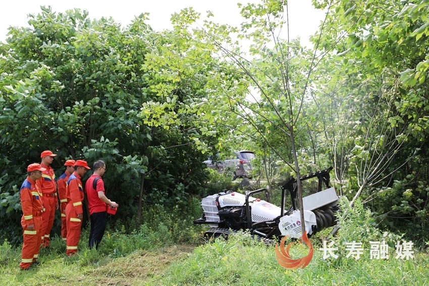 隔离带开辟机器人“上岗”2