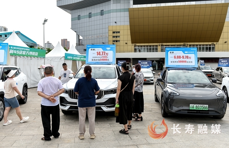 第三届长寿区夏季汽车展销会+张颂东6