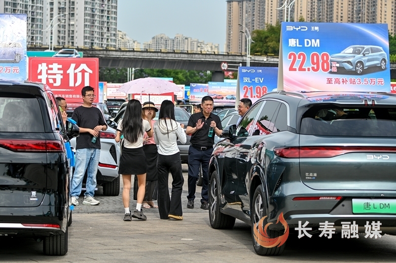 第三届长寿区夏季汽车展销会+张颂东4
