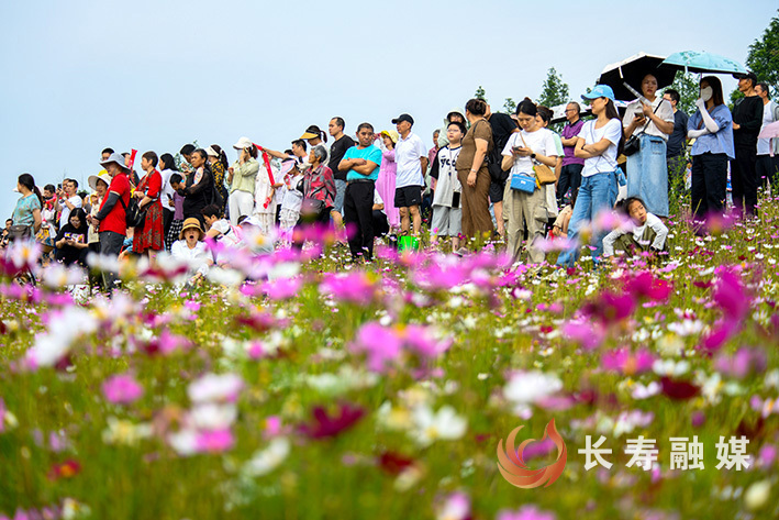 格桑花开醉游人+袁志龙 (2)