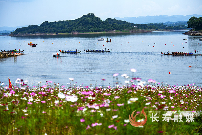 格桑花开醉游人+袁志龙 (3)
