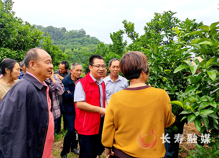 科技特派员田间地头授技术 (2)