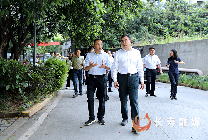 长寿区《既有房屋外围护体检及保险实施手册》中期研讨会议召开 (2)
