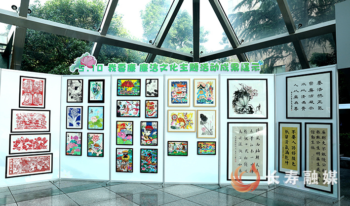 区纪委监委开展“5 (3)