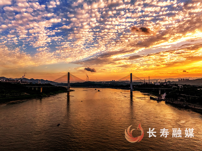 长寿鱼鳞云+张颂东 (1)
