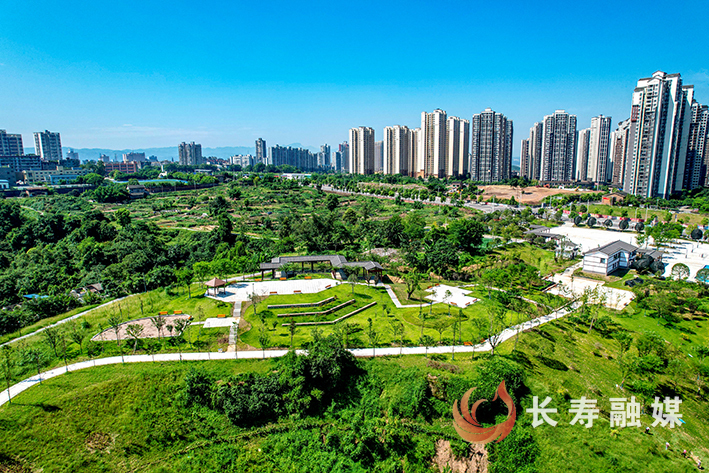 “闲置地+租赁”模式让城市“斑秃”变“绿毯” (3)