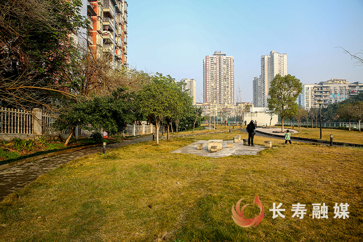 “闲置地+租赁”模式让城市“斑秃”变“绿毯” (2)
