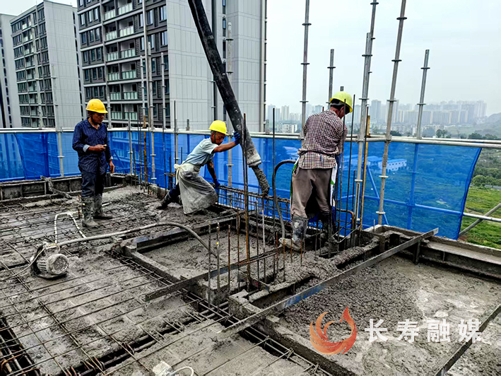 民营企业显身手重庆华硕 (2)