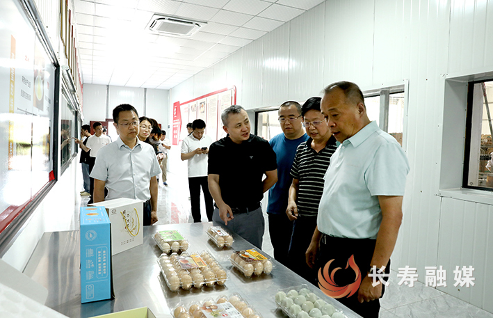 民革江西省委会熊皓一行来长考察调研智慧农业发展情况 (1)