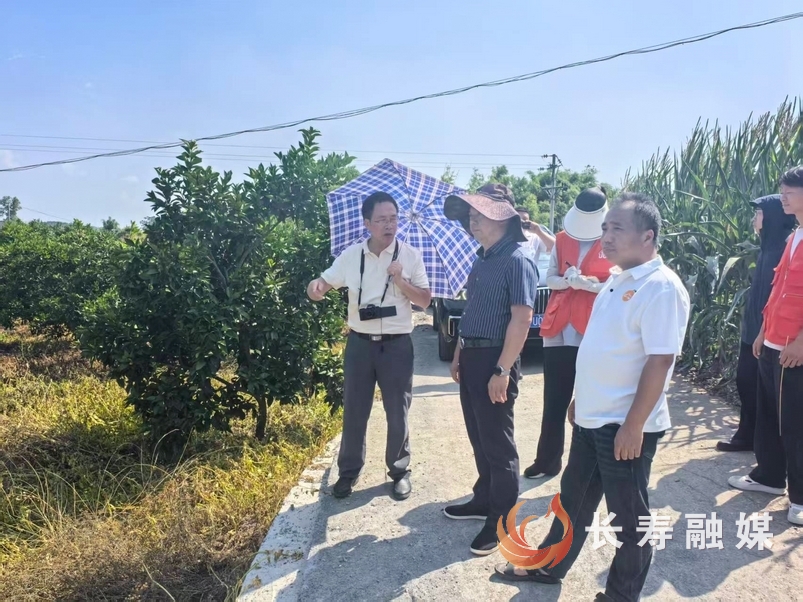 专家巡诊助力柑橘产业提质增效
