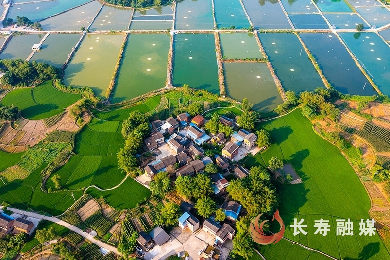速来围观，“鱼米之乡”1