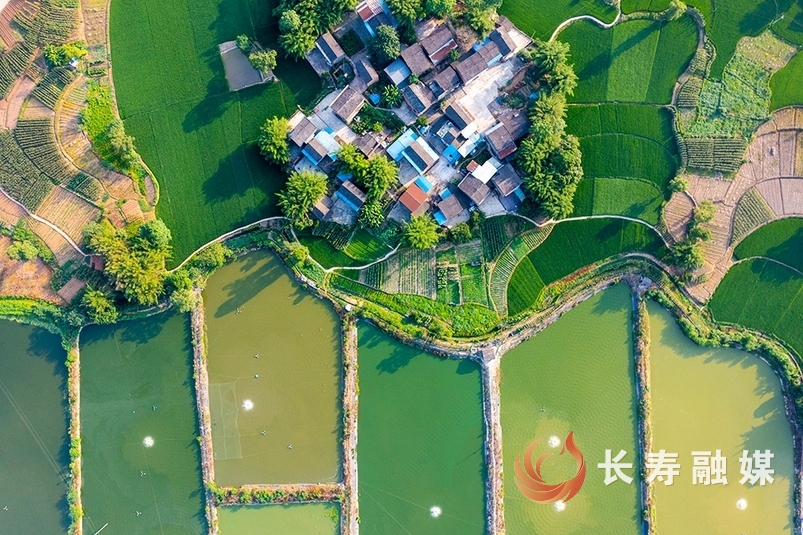 速来围观，“鱼米之乡”2