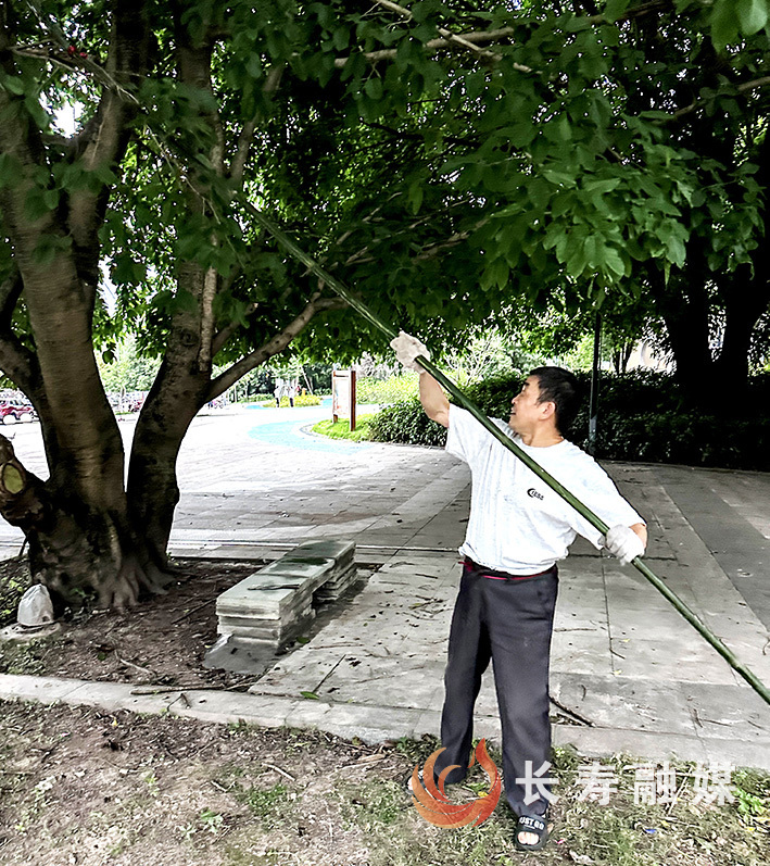 六旬老人用心用情当好“城市管家” (1)