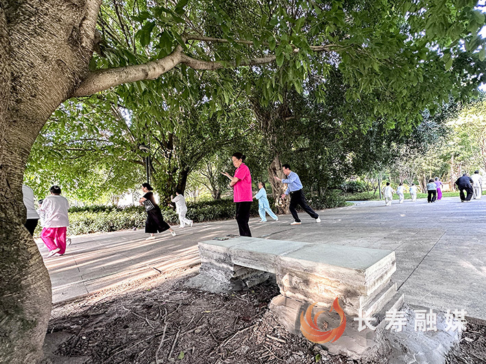 六旬老人用心用情当好“城市管家” (4)