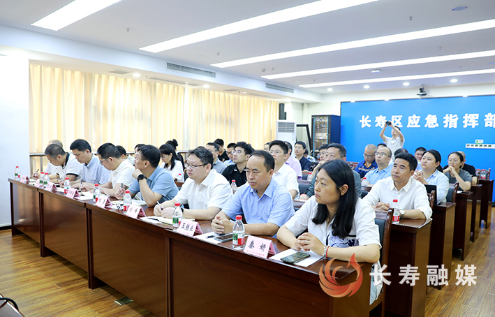 2025年重庆市工贸重点行业领域专家指导服务集中讲评视频反馈会在长召开 (2)