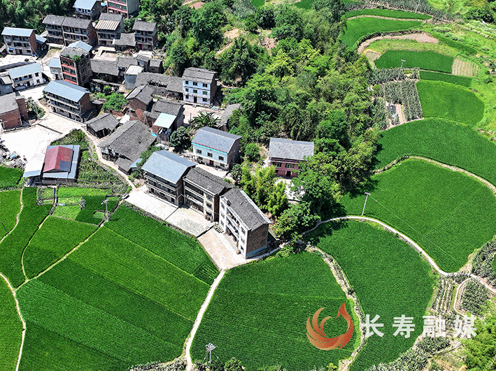 八颗街道高新村8组稻田+何利 (2)