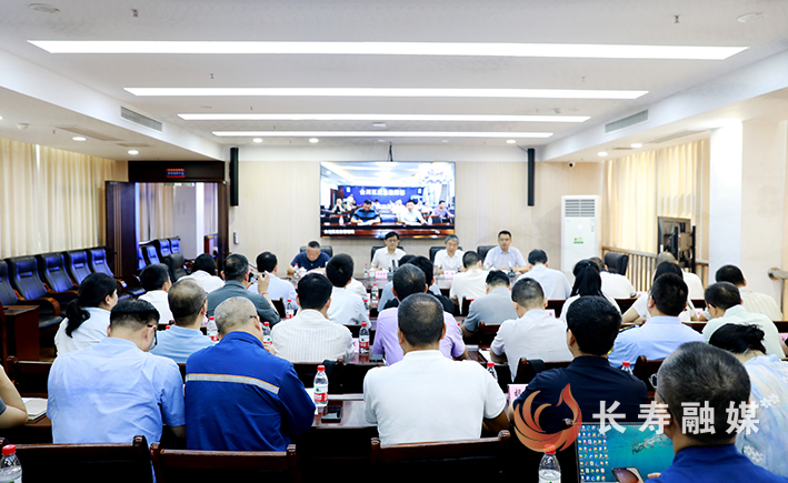 2025年重庆市工贸重点行业领域专家指导服务集中讲评视频反馈会在长召开 (1)