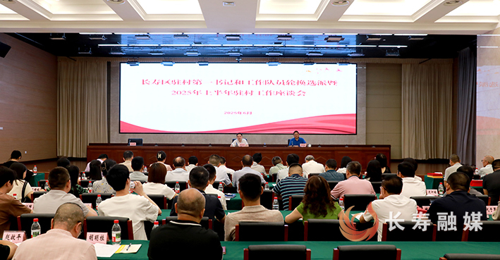 2025年上半年驻村工作座谈会 (1)