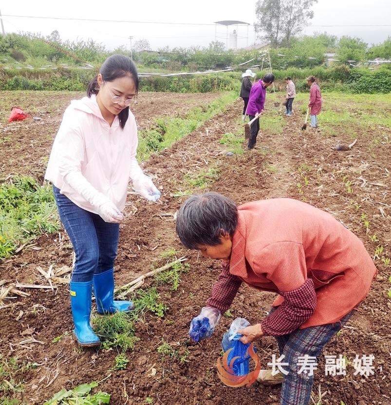 杜江英3