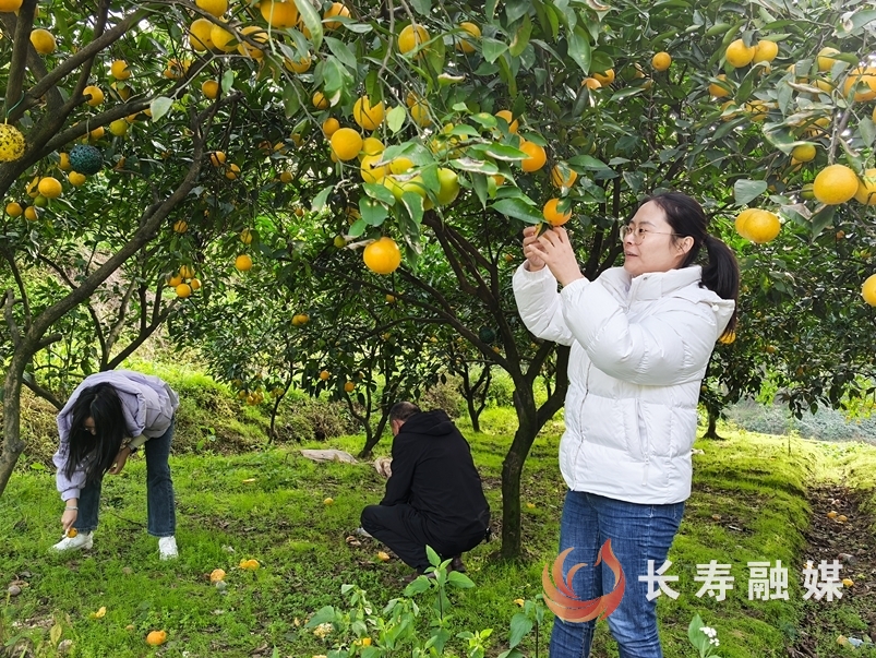 杜江英1