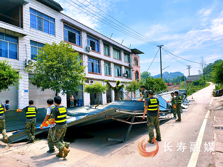 双龙树木倒伏阻断道路民兵快速响应保畅通 (3)