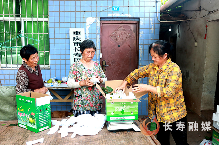 但渡镇但渡村翠冠梨迎来丰收季 (2)
