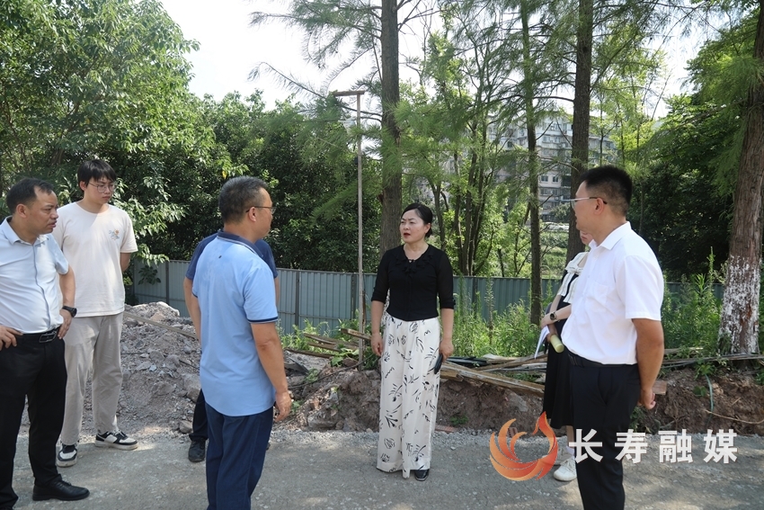 区领导带队调研企业项目推进情况2