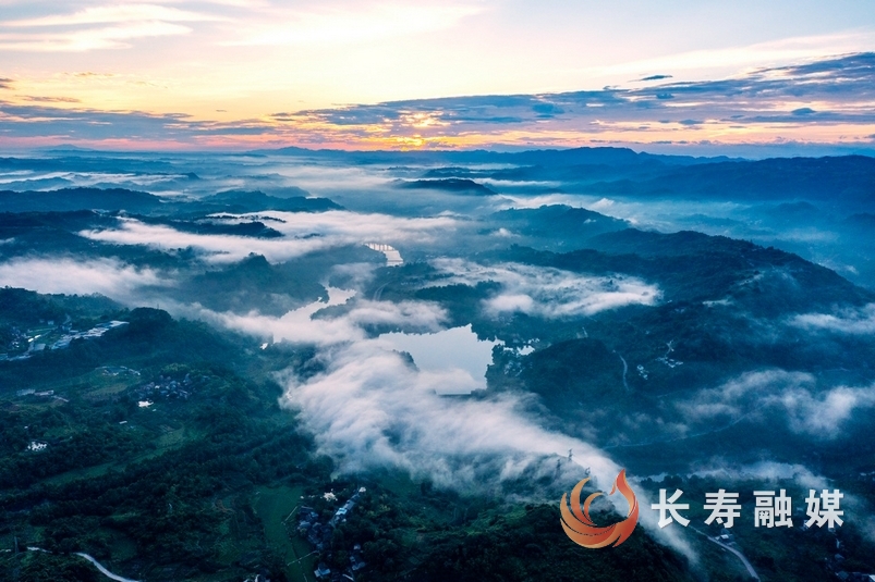 龙溪河长江现“沉睡巨龙”2