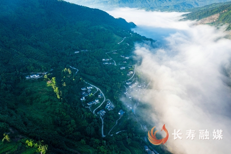 龙溪河长江现“沉睡巨龙”3