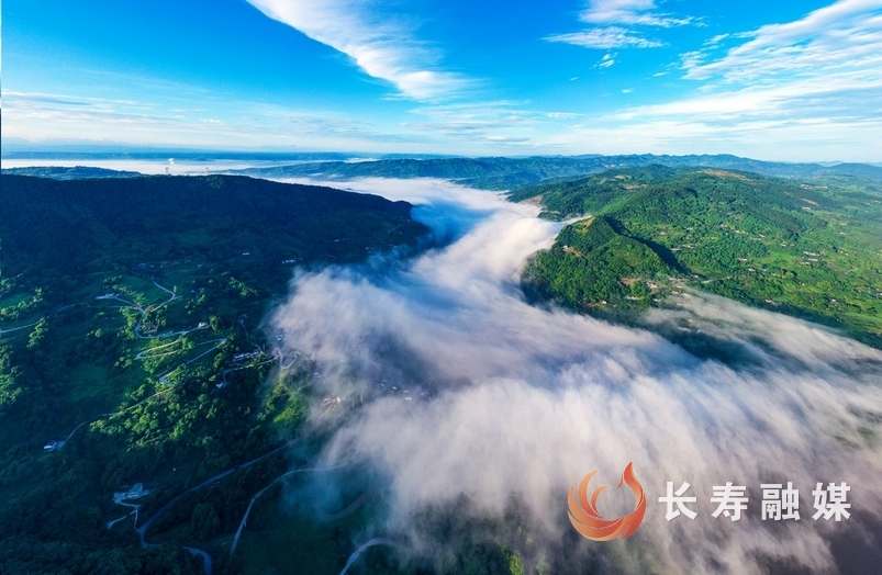 龙溪河长江现“沉睡巨龙”1
