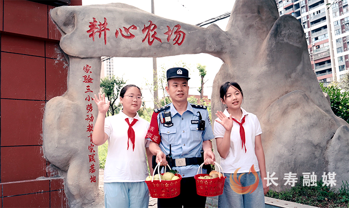 “耕心农场”丰收送清凉 (1)