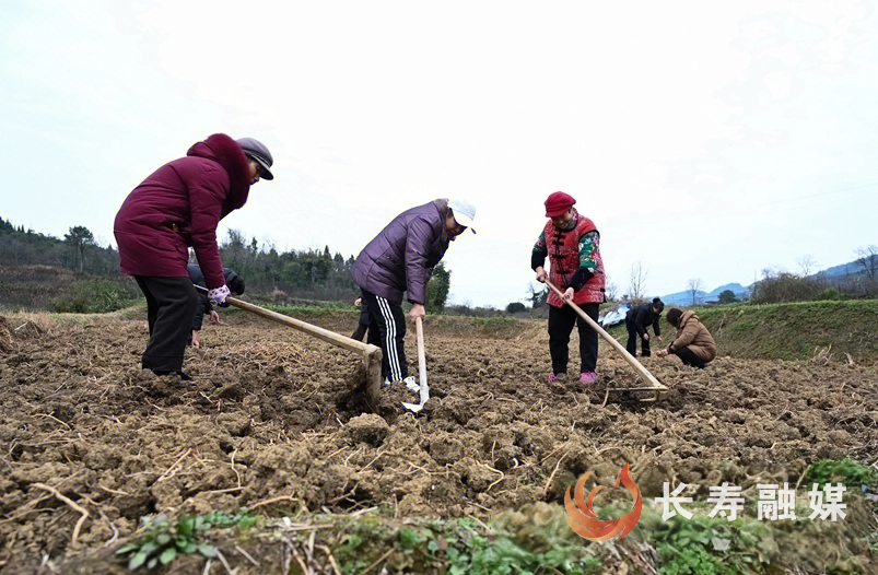 叶素芬带领乡亲们劳动场景