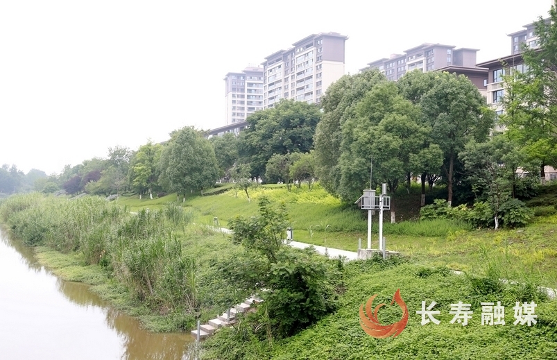 桃花溪上的“千里眼”2