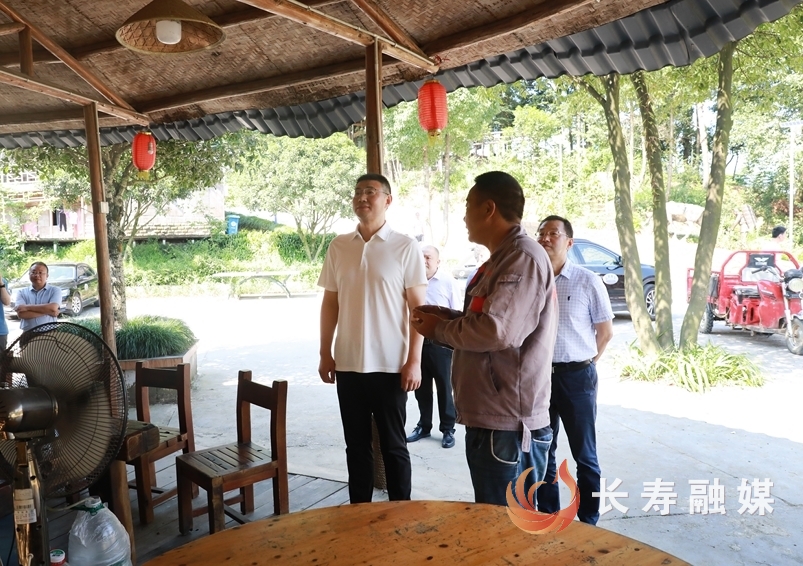 市林业局领导来我区调研指导林业工作1