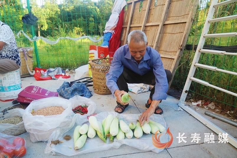 菜农“专线”4