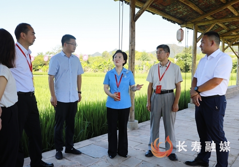 师明萌开展提案情况专题调研