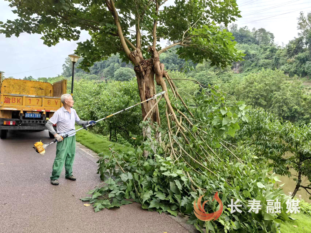 区城市管理局全力排险 (3)