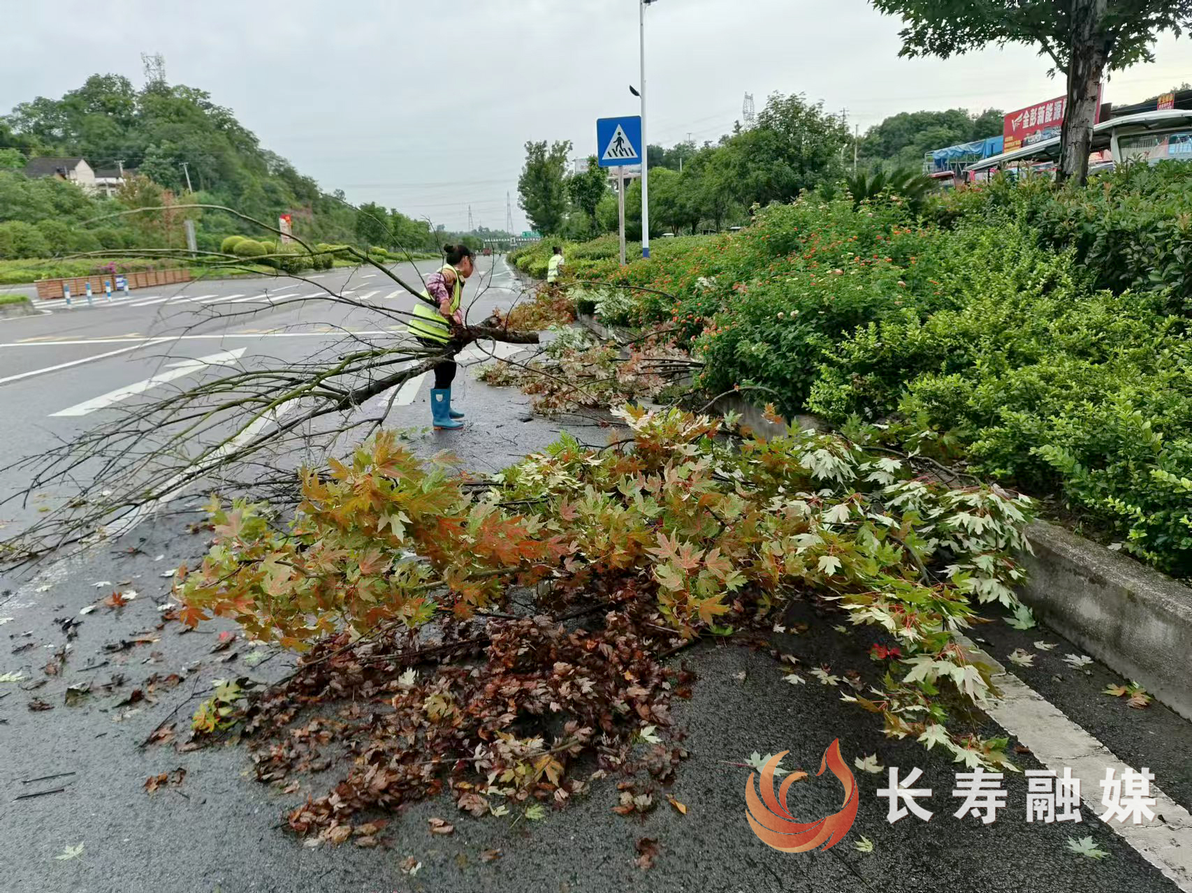 区城市管理局全力排险 (1)