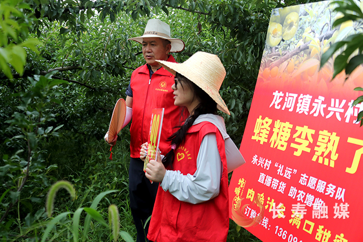 龙河镇永兴村直播“吆喝”进果园 (3)