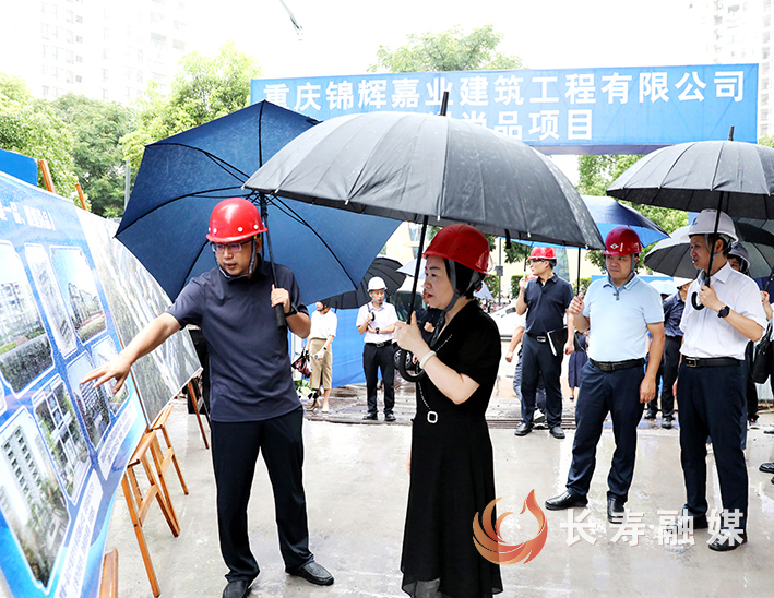 师明萌带队调研企业发展情况 (1)