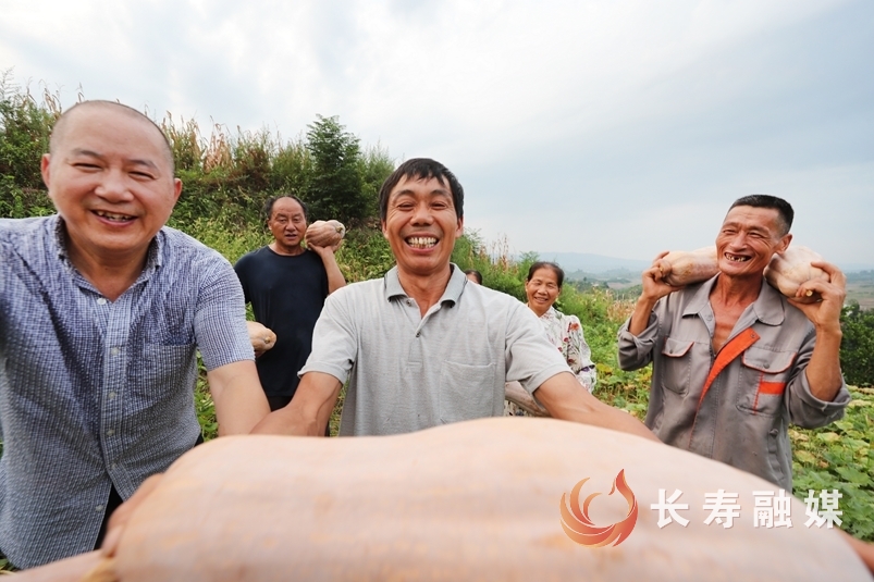 千亩荒山变良田1