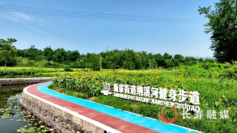 秋游赏葵，来这里1
