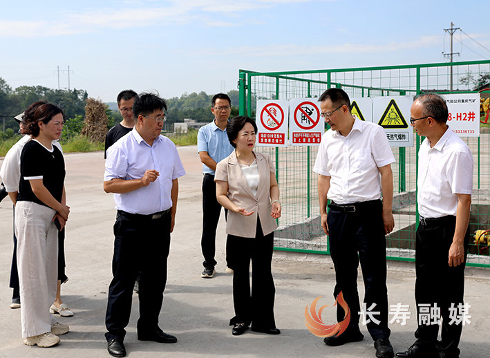 师明萌调研基层招商引资工作 (1)