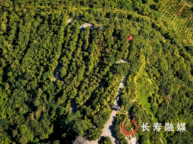张颂东+菩提山3