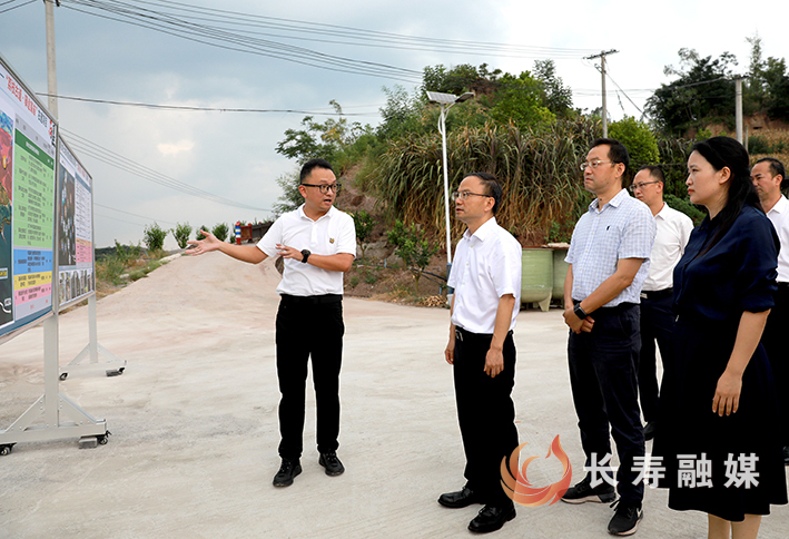 戴明在石堰镇检查指导蚊媒传染病防控和森林防火工作 (2)