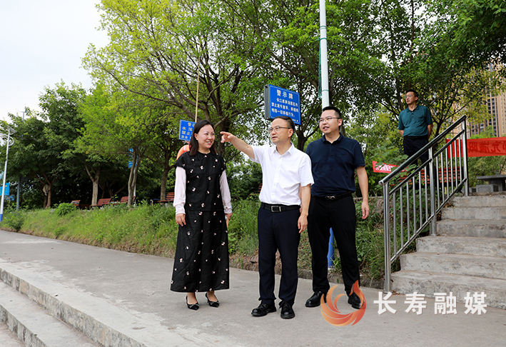戴明在江南街道调研 (1)